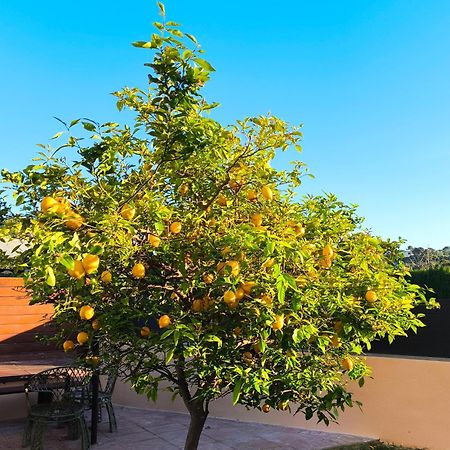 Adosado Con Jardin En Los Xalets De Salou Exterior foto