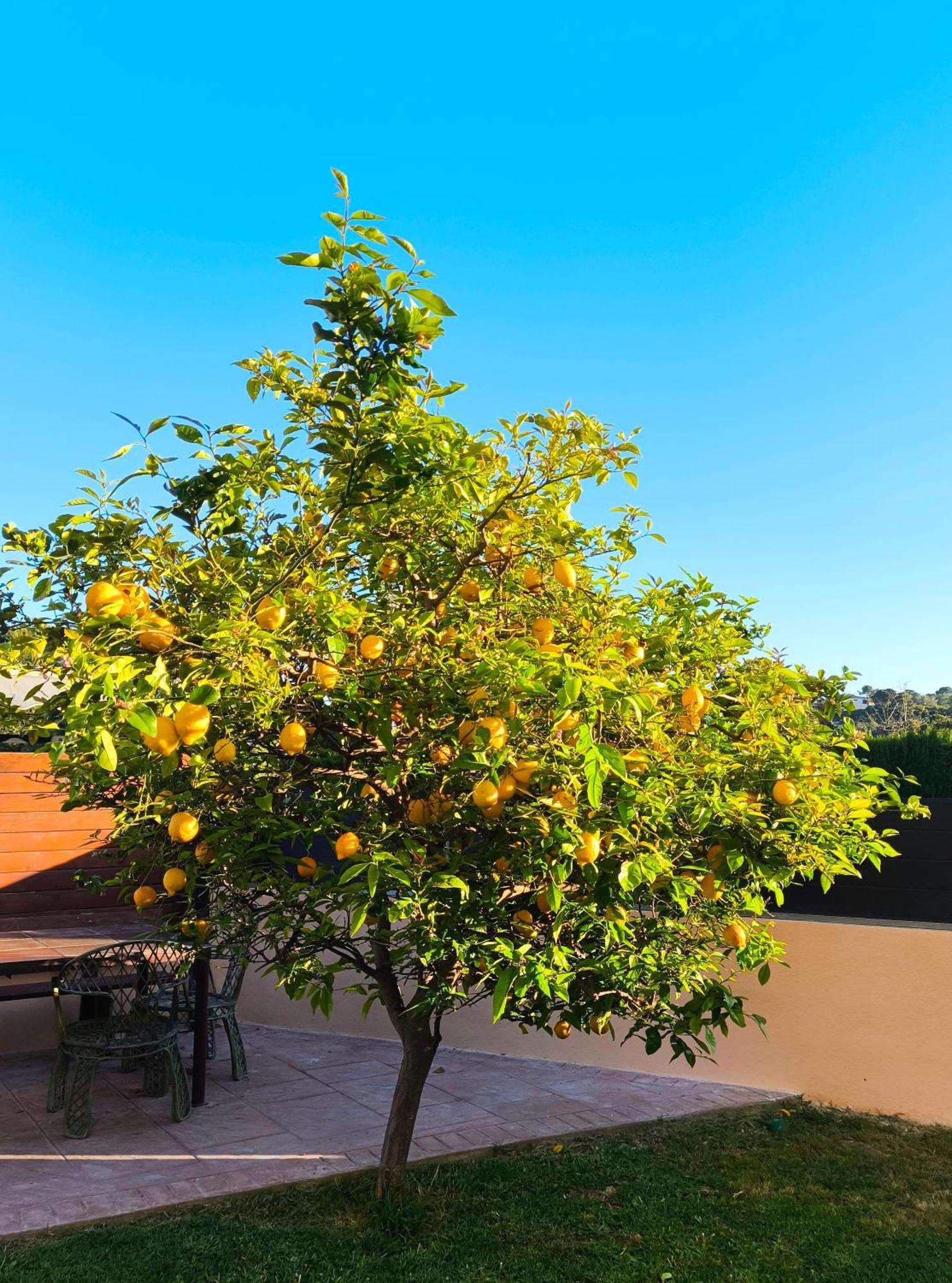 Adosado Con Jardin En Los Xalets De Salou Exterior foto